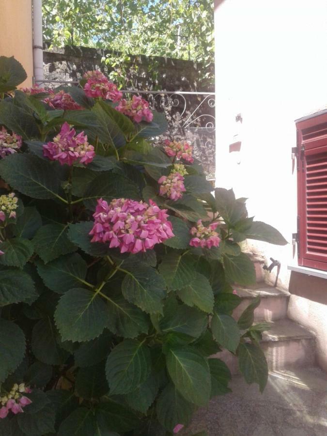 Апартаменти Monolocale Per Coppia Carrodano Inferiore Екстер'єр фото